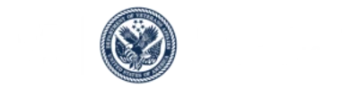 Phoenix East Aviation logo
