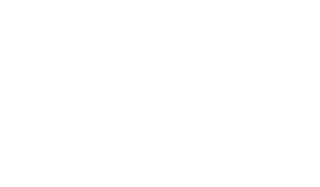 Saltchuk Aviation logo