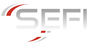 SEFI logo