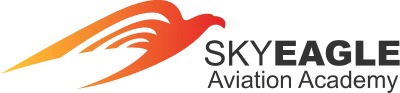 SkyEagle Aviation Academy logo