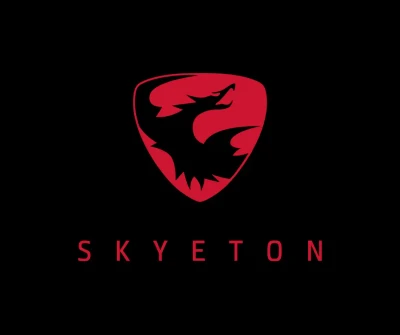 Skyeton logo