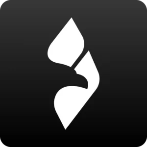 Soaring logo