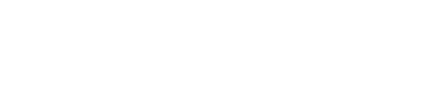 Speedbird Aero logo