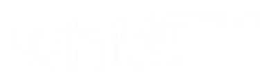 STELLAVIA AIRLINES logo