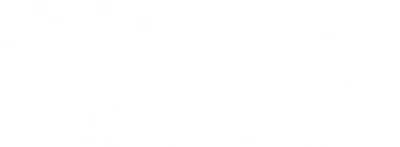 Tanis Aircraft Products logo