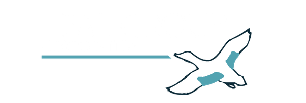 Teal Group logo