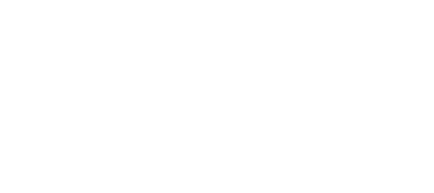 Terra Aviation logo