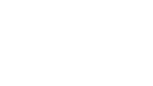 TES logo