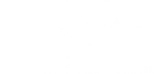 The Aircraft Group logo
