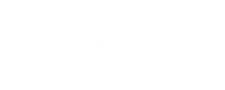 Trademark Aviation logo