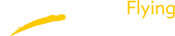 Turin Flying School logo