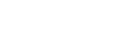 VIPAERO logo