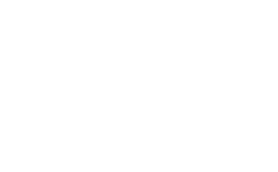 Volz Servos GmbH logo