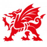 Wales logo