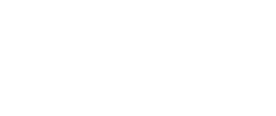 Western Global Airlines logo