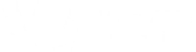 Wieland Aviation logo