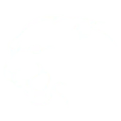 Wildcat Helicopters Inc. logo