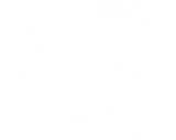 Zlin Aviation sro logo