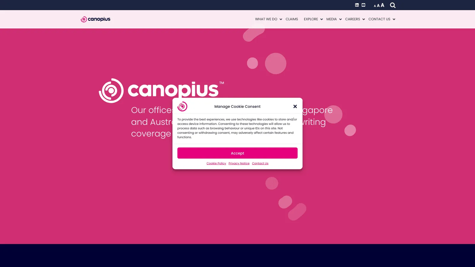 Canopius Aviation Insurance