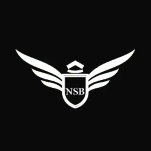 NSB Luxury Transport logo