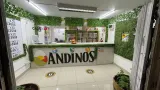 Andino Wings Chile