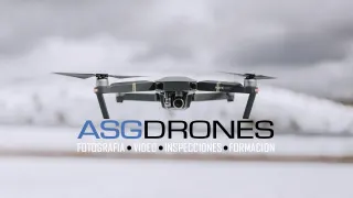 ASG DRONES