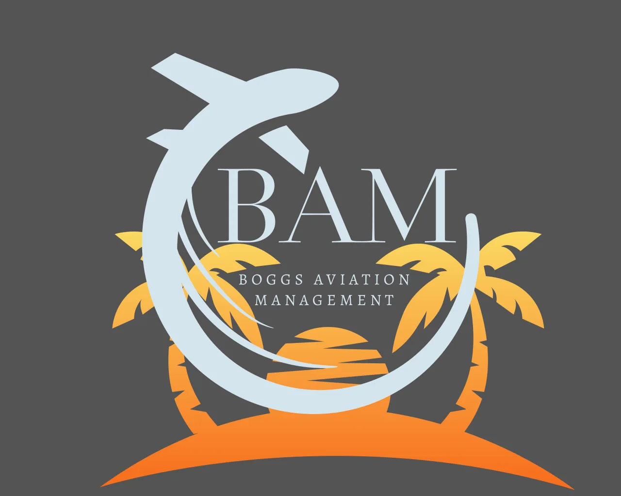 Boggs Aviation Management LLC
