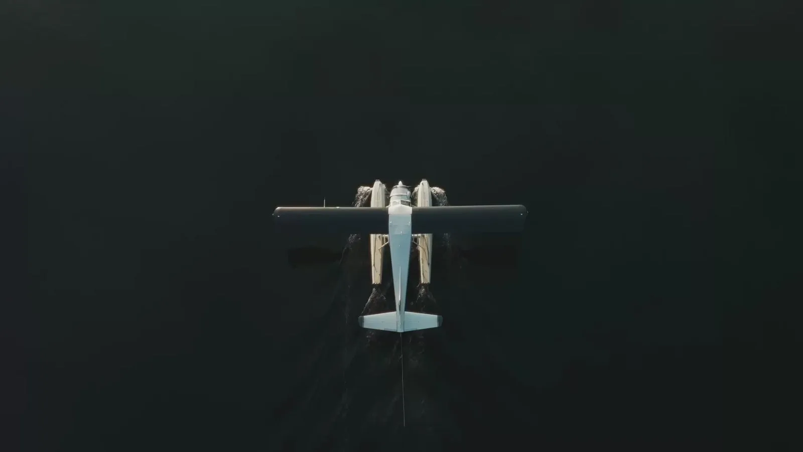 Bold Aviator
