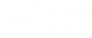 Delta Professional Services (DPS)