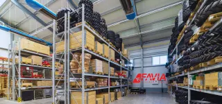 Favia International