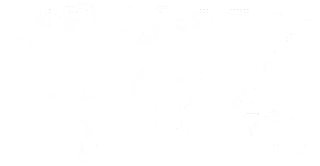 Mecanyvois