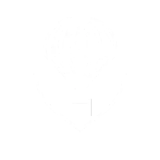 Paradigm Parachute & Defense