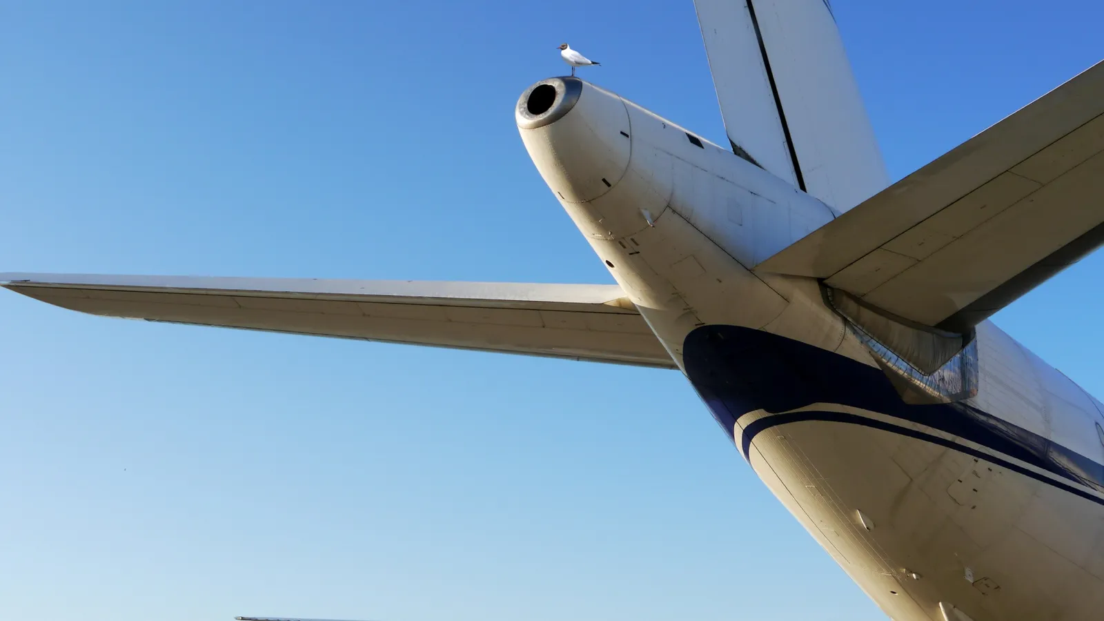 Smart Airport Systems