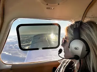 Wing View Tint