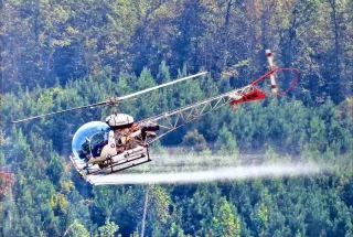 Aerial Forestry Services