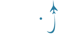Aerius Management logo