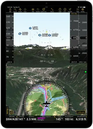 Air Navigation Pro