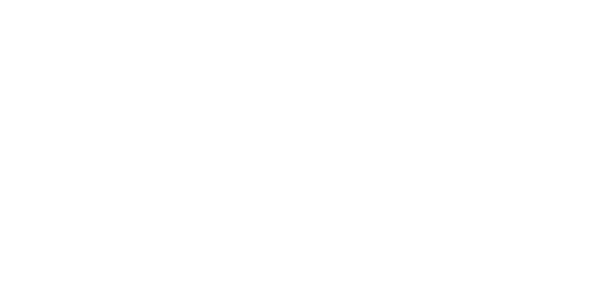 Airline Management Group logo