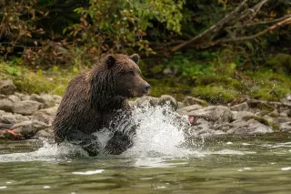 Alaska West Air