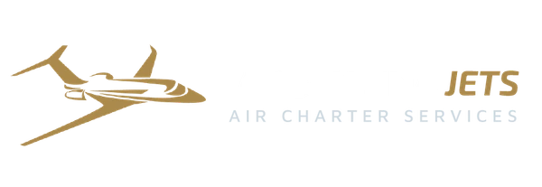ARGENTINA JETS logo