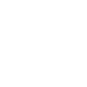 Auterion logo
