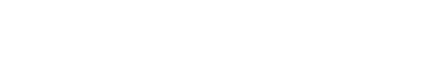 Bartini, Inc. logo