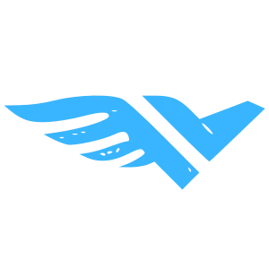 Blue Skies Aviation and Logistics LLC logo