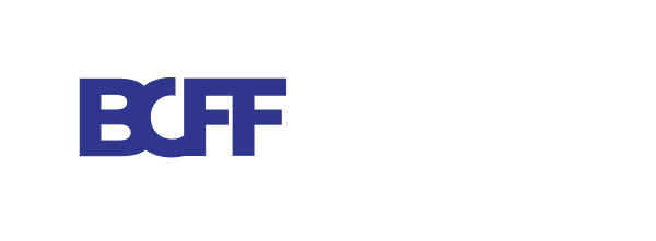 BOOK CHEAP FARE FLIGHTS PRIVATE LIMITED logo