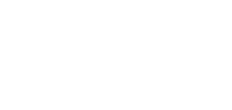 Business Airport International logo