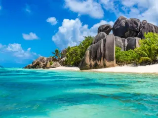 Delightful Travel & Tours