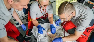 DRF Akademie