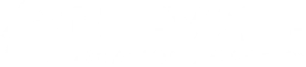 Elevate Aviation Academy logo
