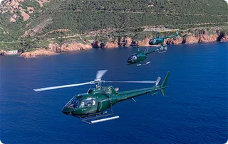 Green Bees Helico