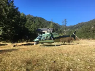 Helicopter Charter Karamea